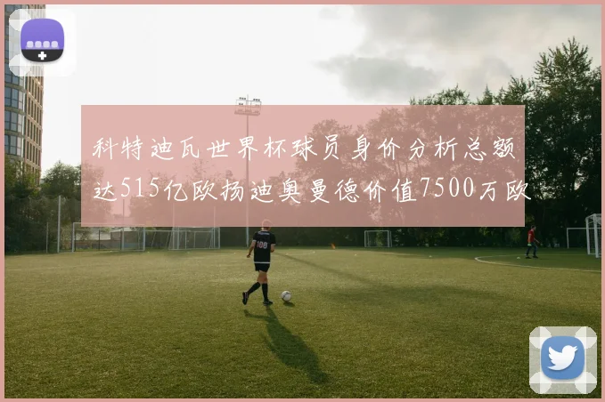科特迪瓦世界杯球员身价分析总额达515亿欧扬迪奥曼德价值7500万欧